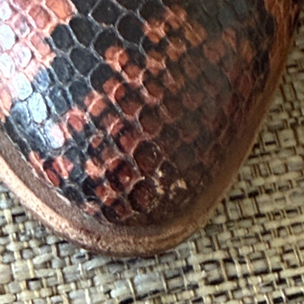 Frye Ray mules - Picture 8 of 8